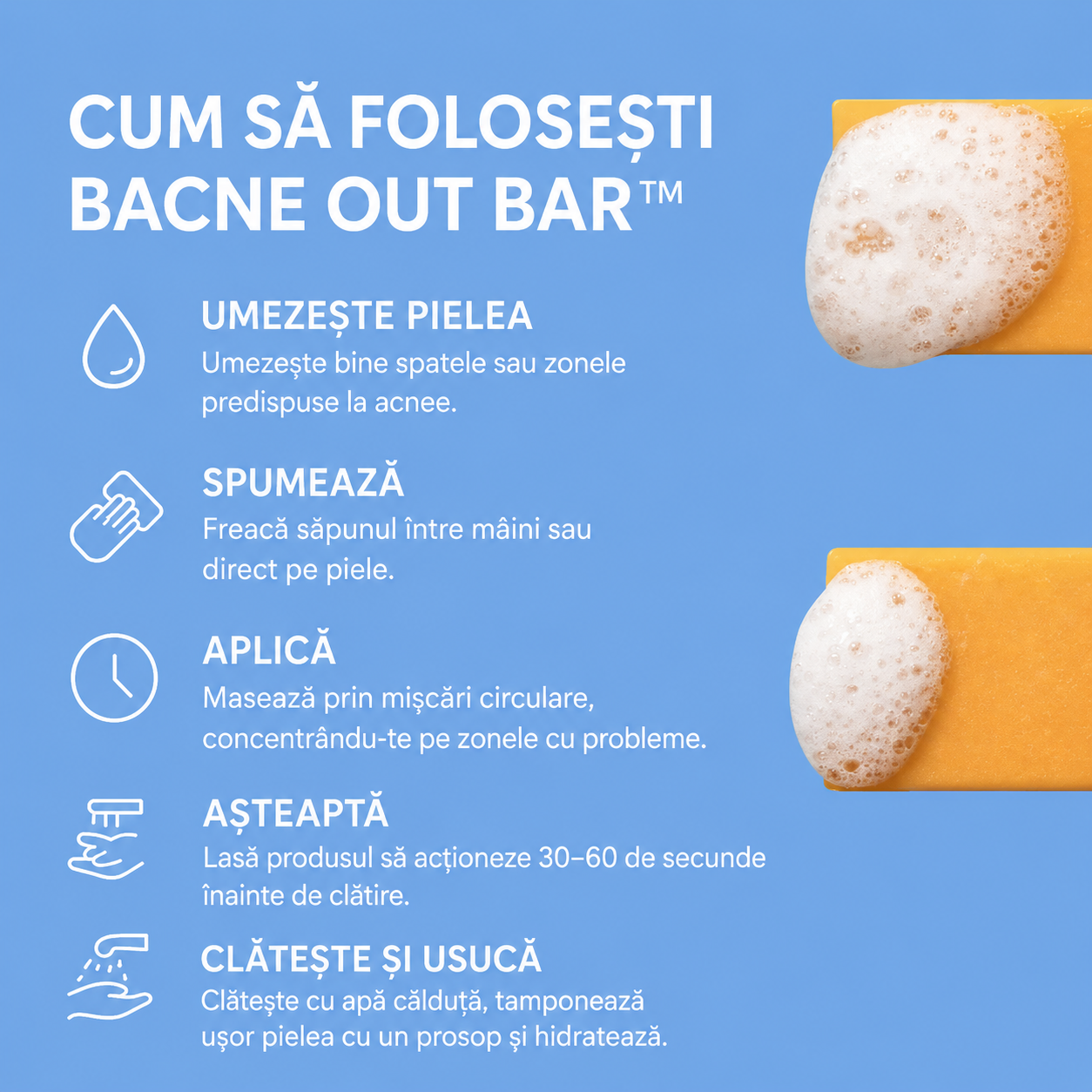 Bacne Out Bar